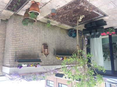 Vergroening tuin 2